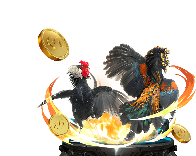 Cá cược Thể thao b52 web